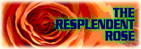 The Resplendent Rose