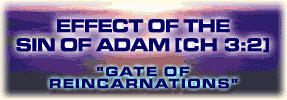 Effect of The Sin of Adam