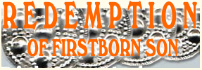 Redeeming a Firstborn Son