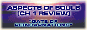 Aspects of Souls