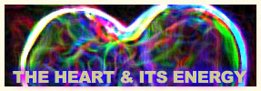 The Heart and Its Energy