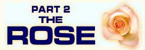 The Rose: Part 2