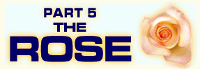 The Rose: Part 5