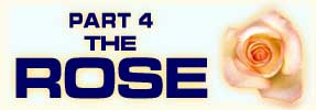 The Rose: Part 4