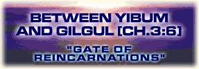 Between Yibum and Gilgul