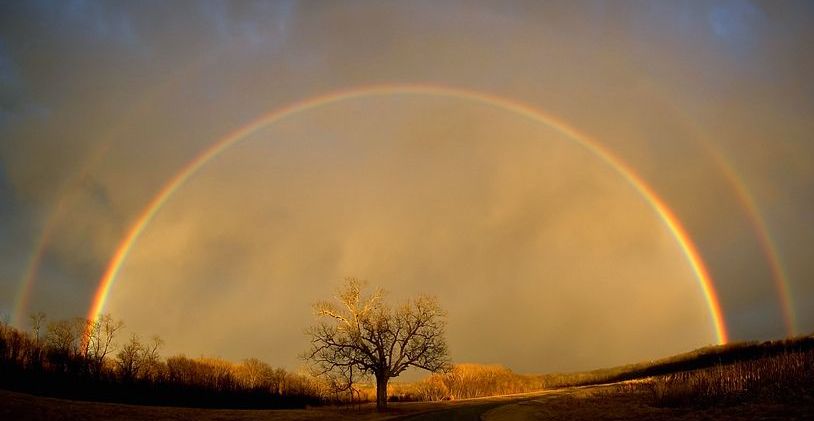 Noah Brought Us the Rainbow