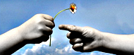 Deeds of Loving Kindness