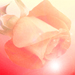 Rectifying the Divine Presence