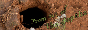 From the Depths