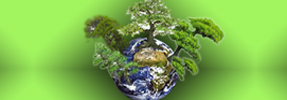 Fixing an Imperfect World