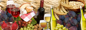 Tu B'Shevat: Basics