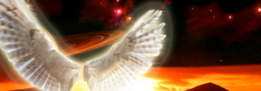 Wings of Flight