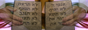The Guiding Hands of Torah