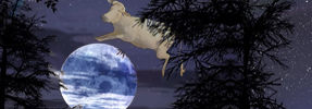 The Cow Jumped Over the Moon
