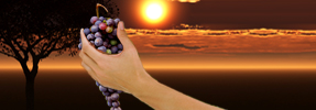 The Spirituality of Eating