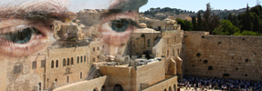 Eyes on the Land