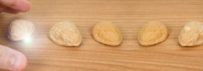 Shell Games