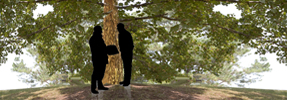 The Witnessing Tree