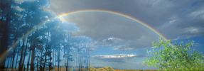 Introductory Prayer from <i>Pri Etz Hadar</i>