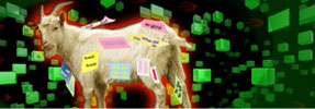 The Goat Bribe